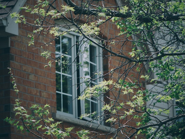 a window on a brick house covered by a tree branch